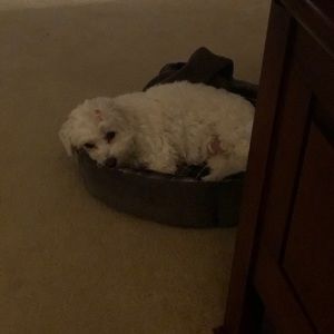 Meet your Posher, Christa